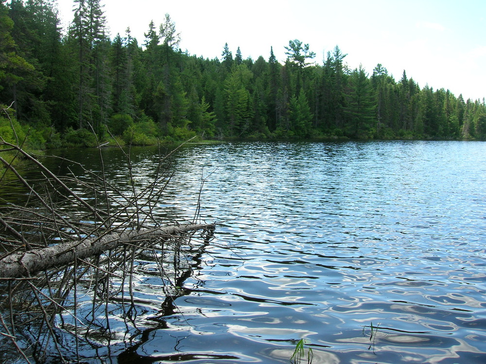 Algonquinn park