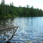 Algonquinn park