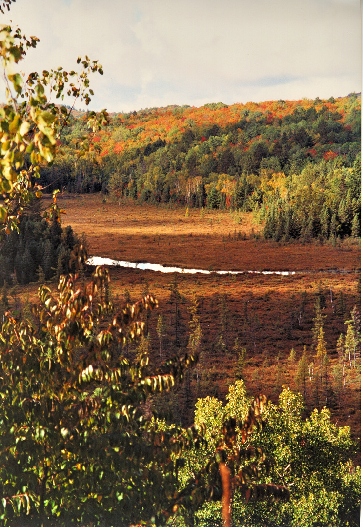 Algoquinpark in Kanada