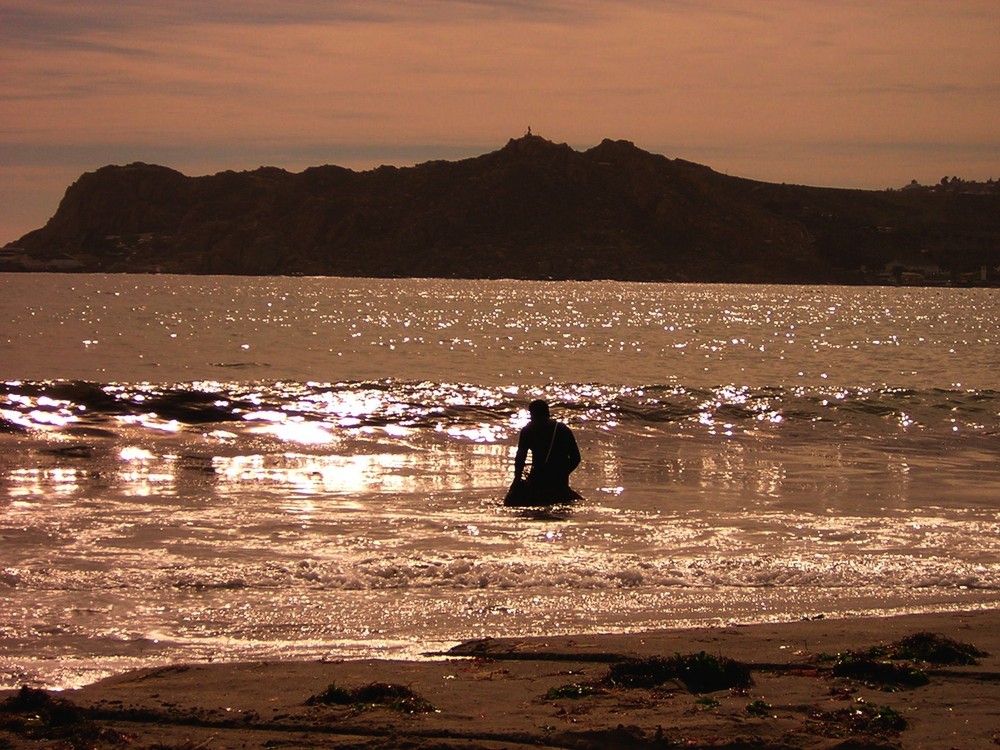 Alguero en La Herradura