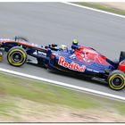 *Alguersuari - Toro Rosso*