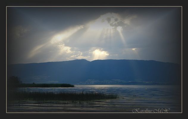 Algun dia estare ahi contigo.