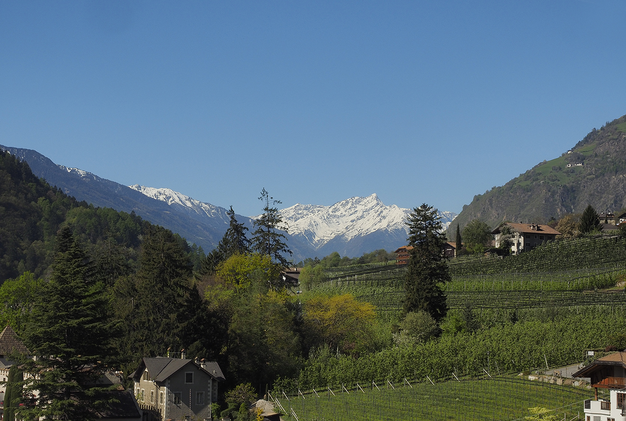 Algund mit Ortlergruppe