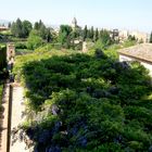 Alhambra bei Granada (II)