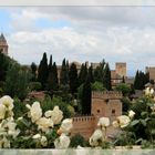 Alhambra - Blick auf den Nasridenpalast