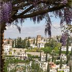 Alhambra - Der Blick der Herrscher