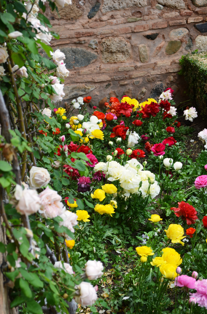 alhambra en primavera