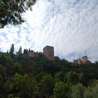 Alhambra - Granada