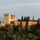 Alhambra Granada