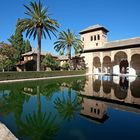 Alhambra (Granada)