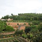 Alhambra-Granada / Spain