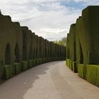  Alhambra grüne Allee