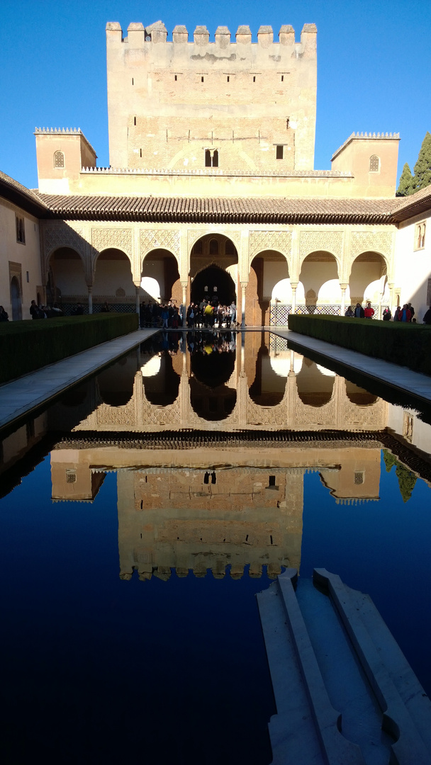 Alhambra, Il Patio de los Arrayanes, 2013