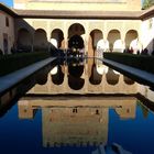 Alhambra, Il Patio de los Arrayanes, 2013