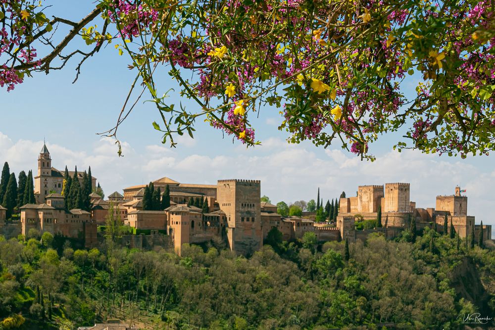 Alhambra im Grünen