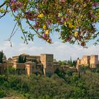 Alhambra im Grünen