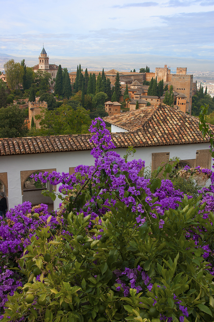 Alhambra in Granada