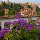 Alhambra in Granada