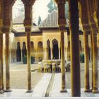 Alhambra Palace ( Granada ) 3