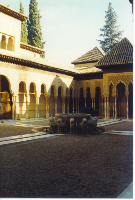 Alhambra Palace ( Granada ) 5