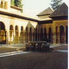 Alhambra Palace ( Granada ) 5