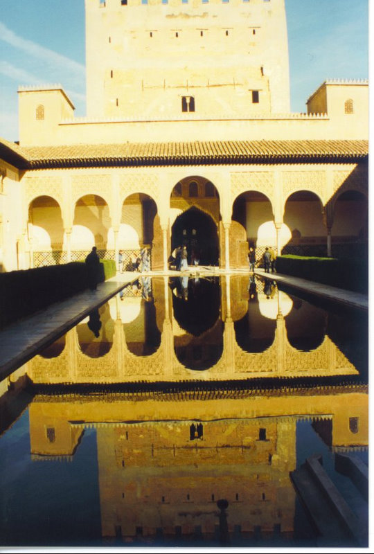 Alhambra Palace ( Granada ) 6