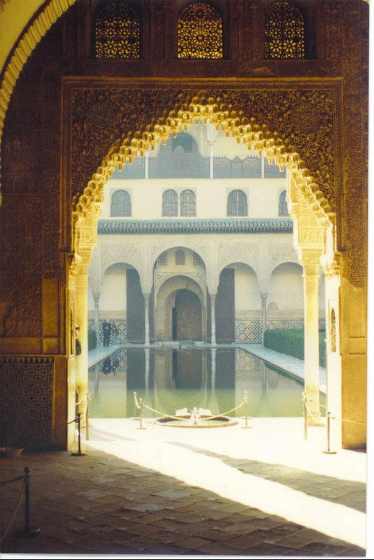 Alhambra Palace ( Granada )