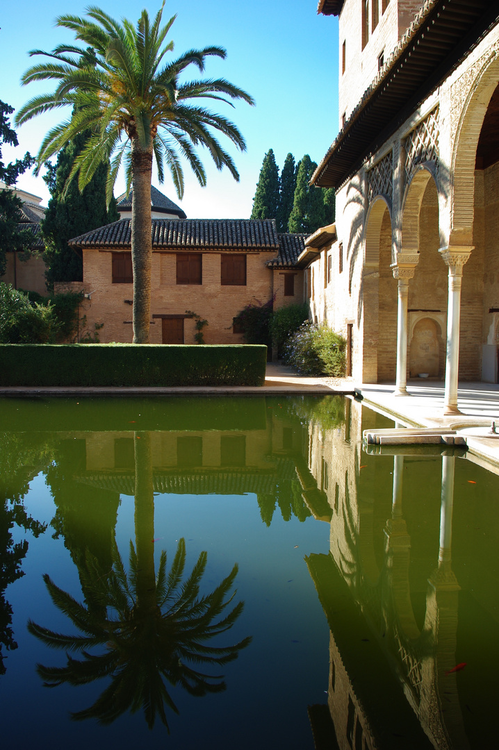 Alhambra Torre de las damas