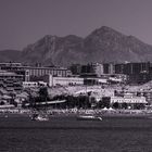 Alicante