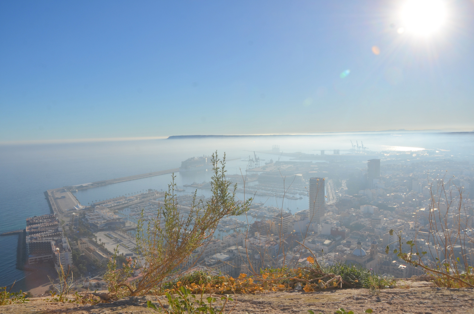 Alicante Aida Cosma