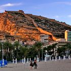 Alicante, Alacant