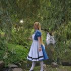 Alice