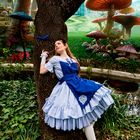 Alice 2