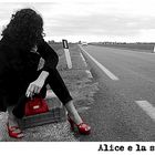 ALICE E LA STRADA