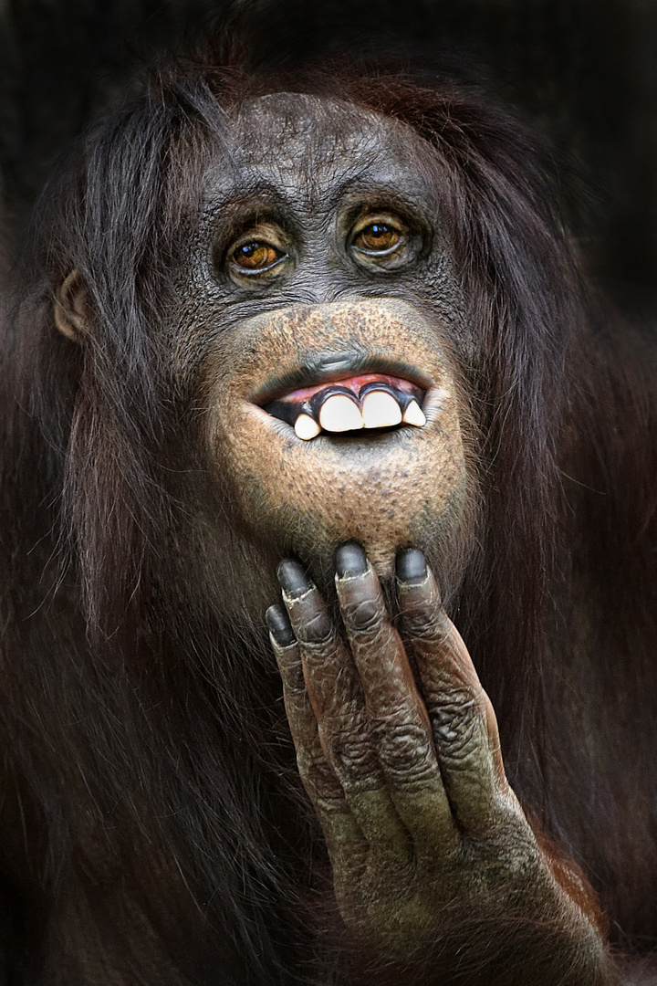 Alice Foto & Bild | tiere, zoo, wildpark & falknerei, natur Bilder ..., حجم الصورة 720x1080