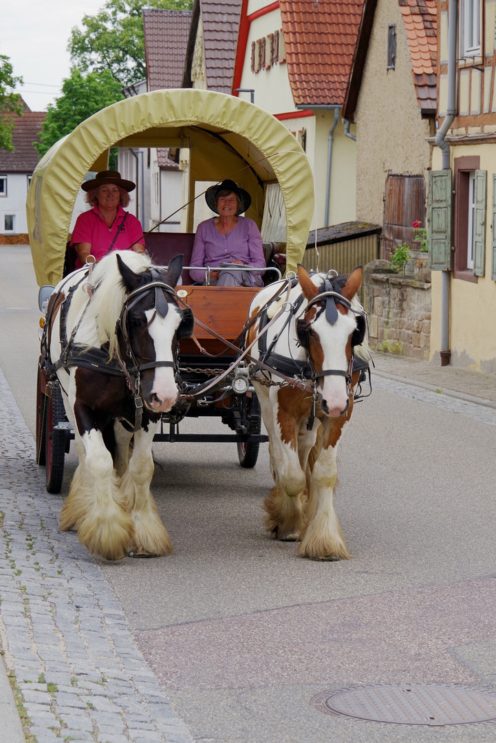 Alice en selle in Stockheim_1