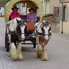 Alice en selle in Stockheim_1