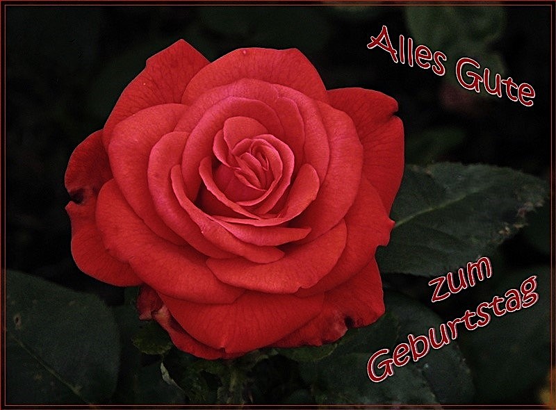 Alice hat Geburtstag