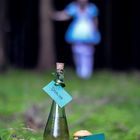 Alice im Wunderland