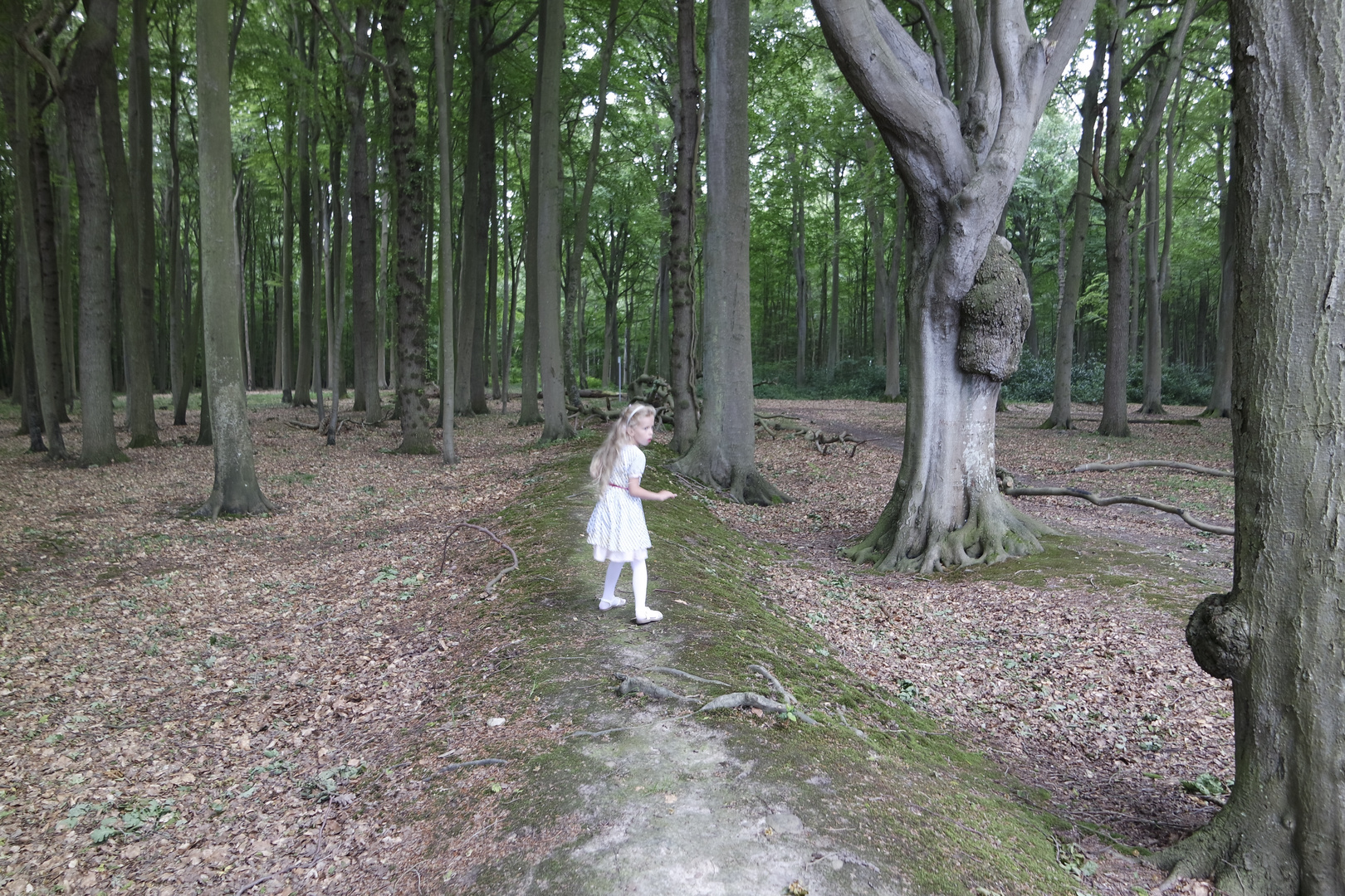 Alice Im Wunderland Foto Bild Menschen Bilder Auf Fotocommunity