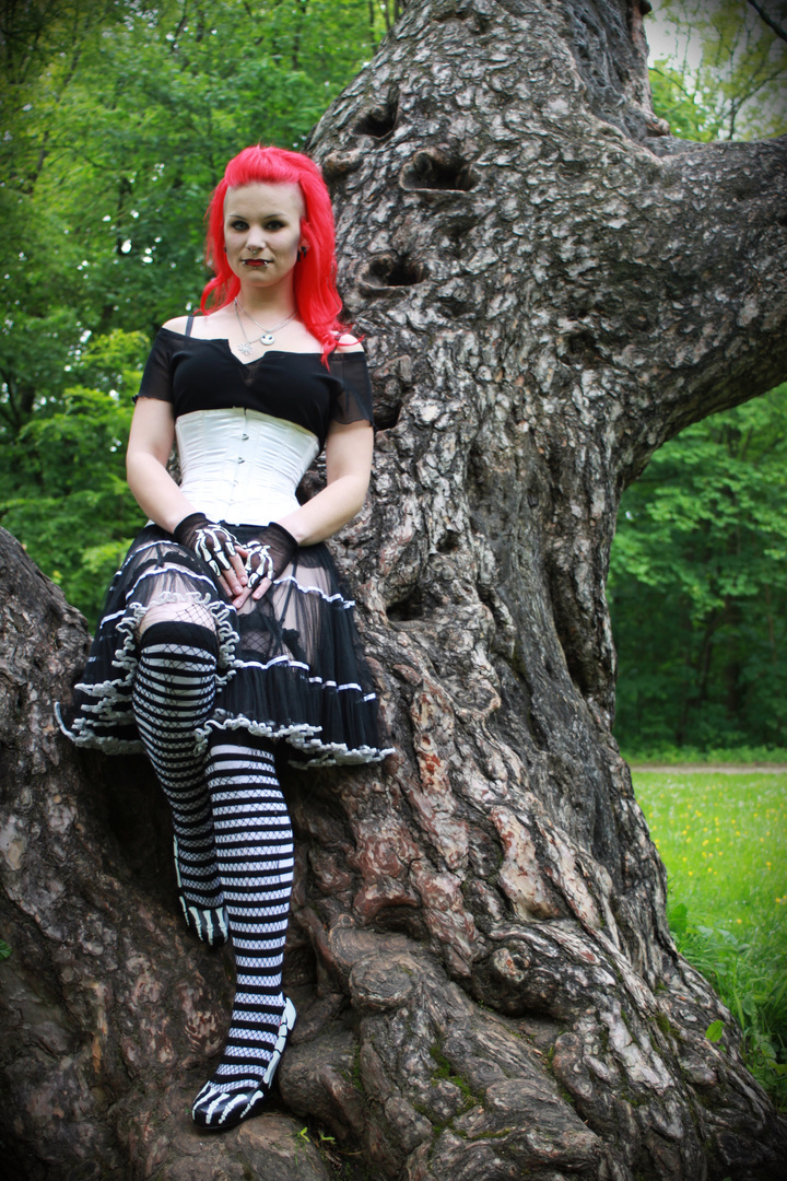 Alice im Wunderland *-*