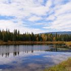 Alice Lake....