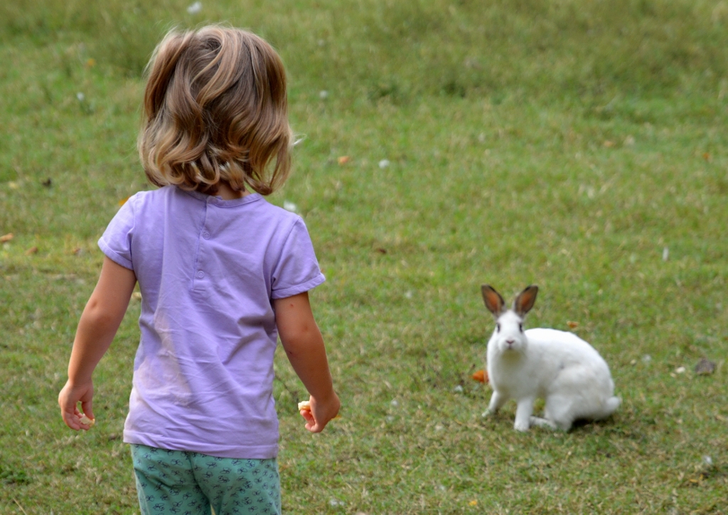 Alice nel paese delle meraviglie