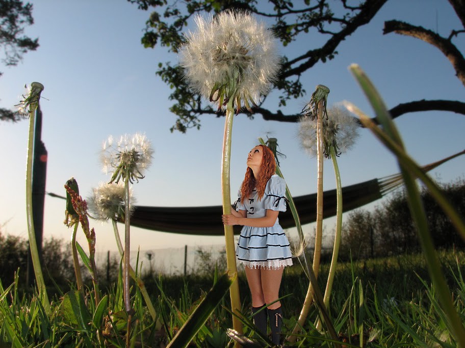 Alice und die Pusteblume