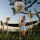 Alice und die Pusteblume