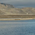 Alicehamna, Brucenest , Smeerenburg, Spitzbergen  2022DSC_6442