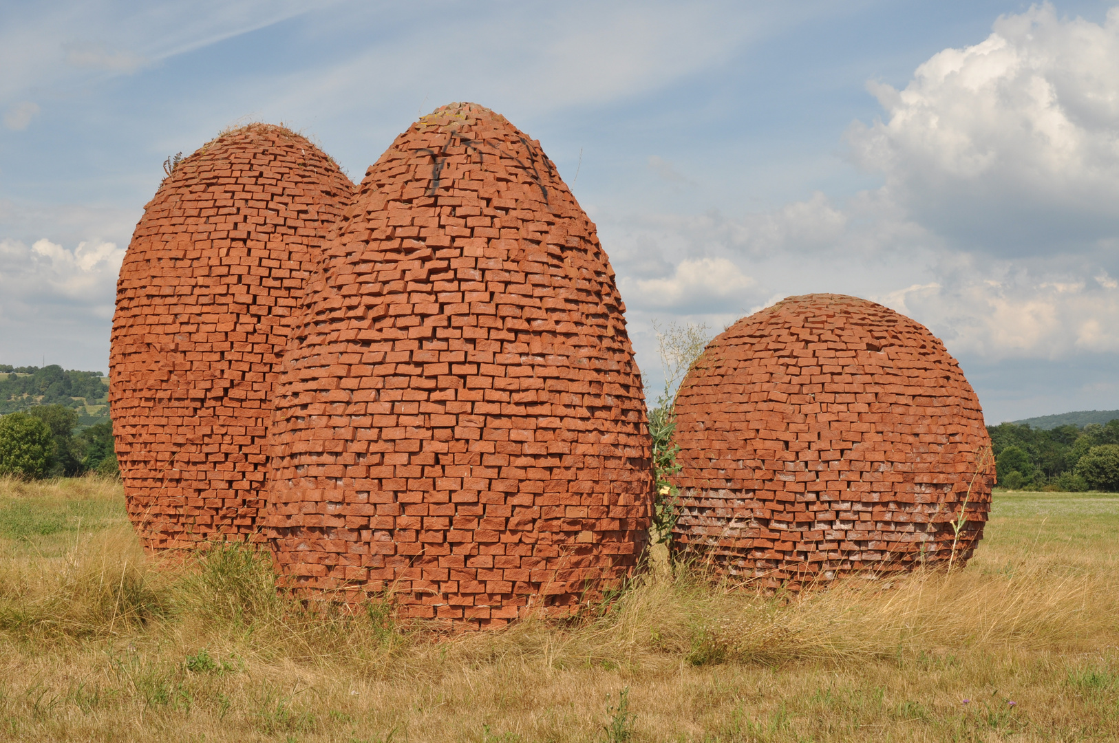 Alien Eggs