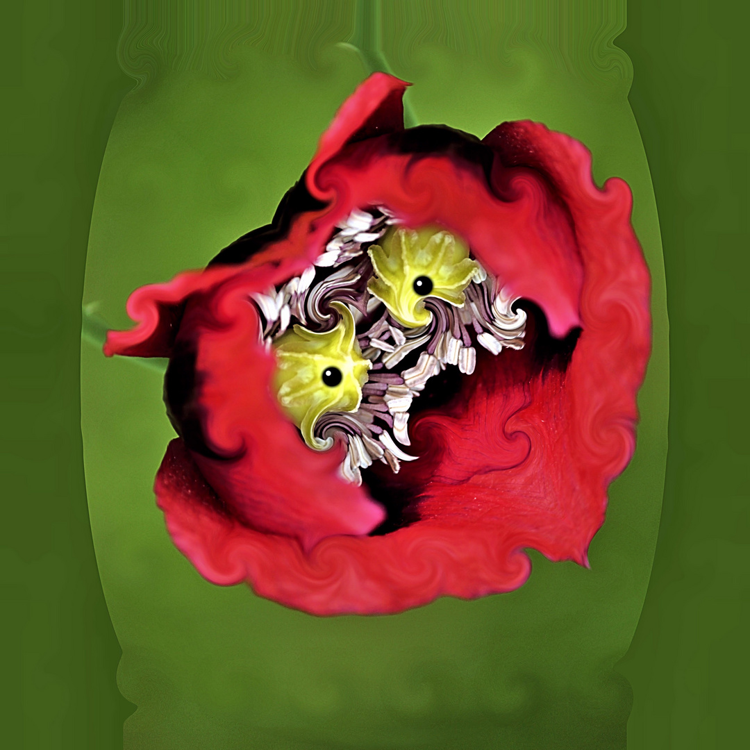 Alien Poppy