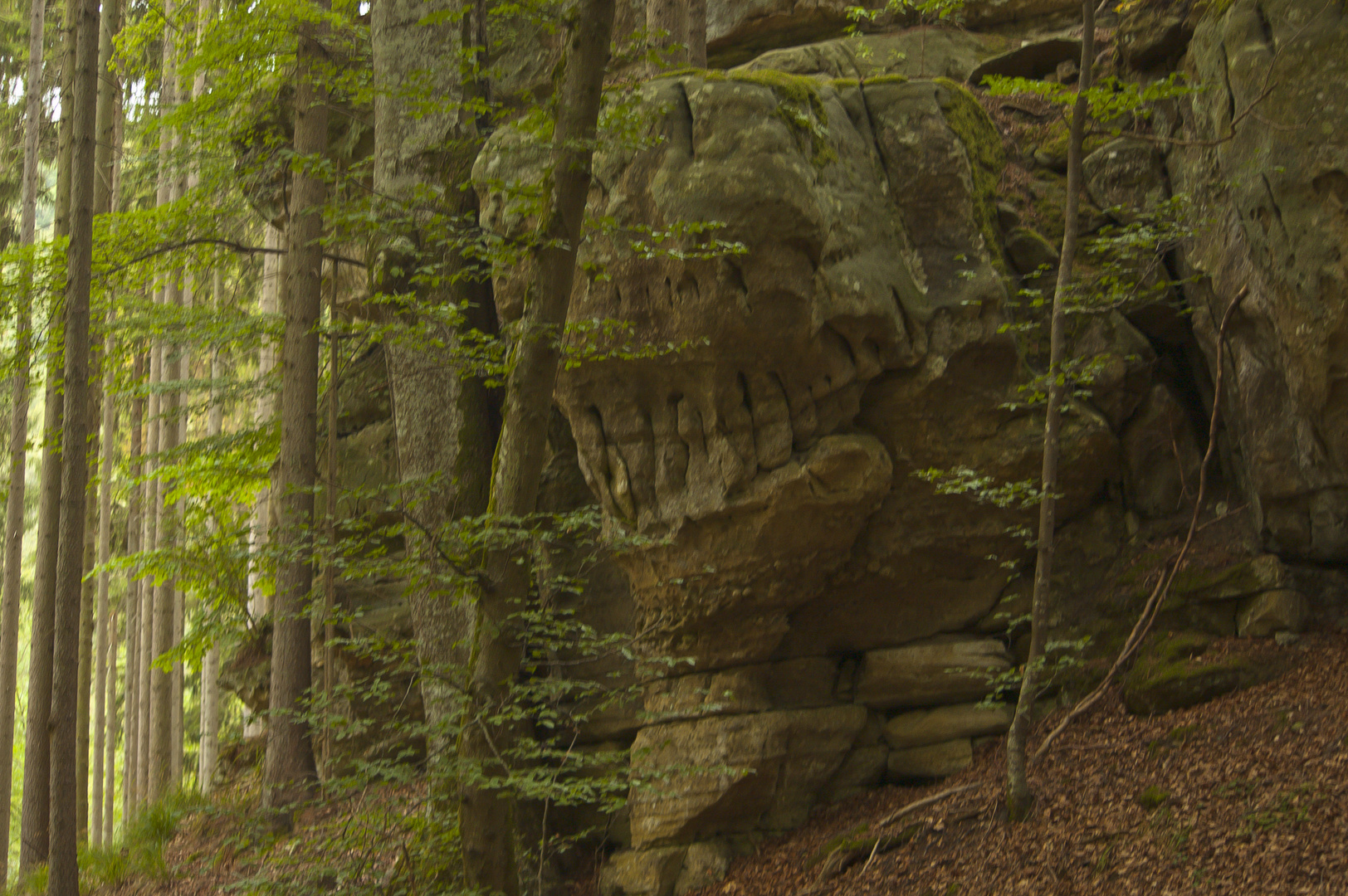 Alien vs Ardennen