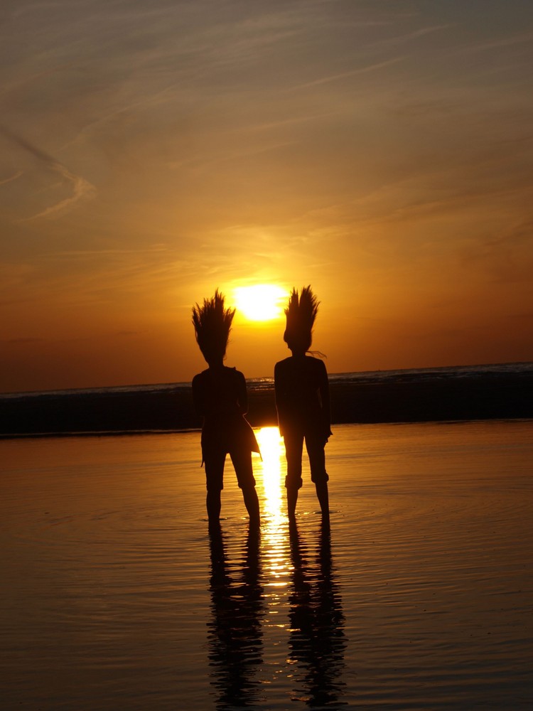 Aliens gesichtet an der Holländischen Nordseeküste !